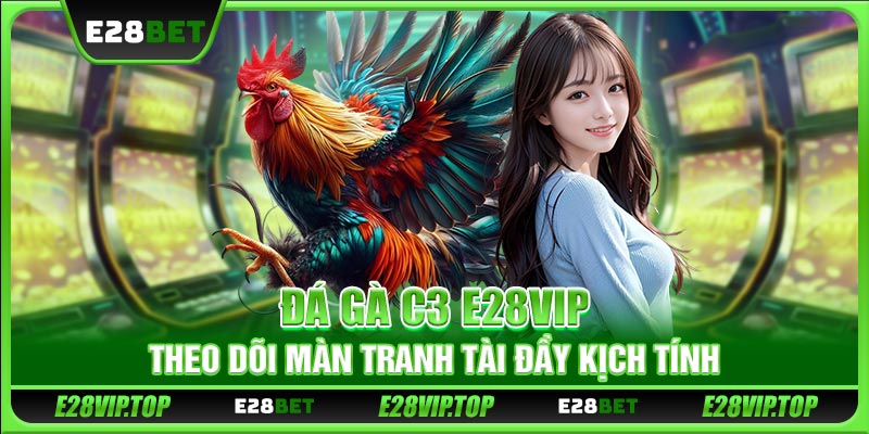 Đá Gà C3 E28VIP - Theo Dõi Màn Tranh Tài Đầy Kịch Tính