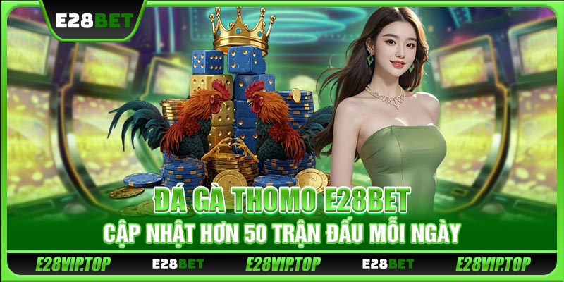 Đá Gà Thomo E28BET - Cập Nhật Hơn 50 Trận Đấu Mỗi Ngày