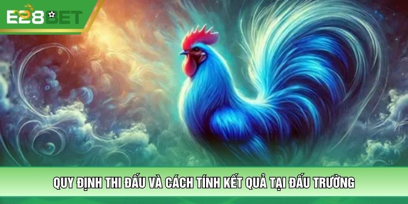 Quy định thi đấu và cách tính kết quả tại đấu trường
