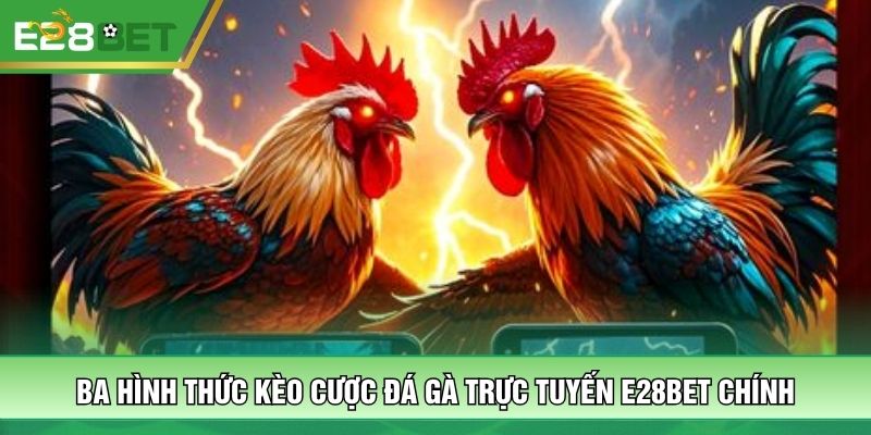 Ba hình thức kèo cược đá gà trực tuyến E28BET chính