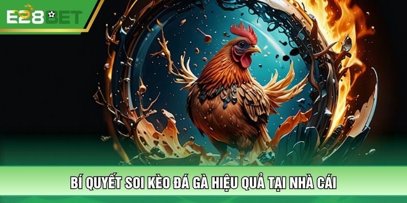 Bí quyết soi kèo đá gà hiệu quả tại nhà cái