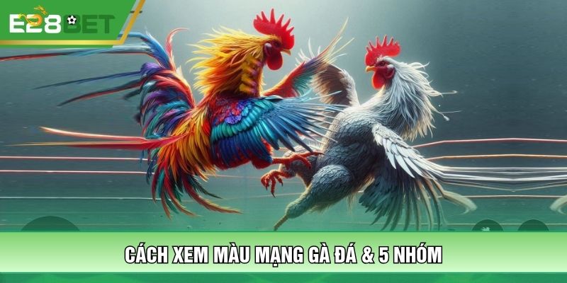 Cách xem màu mạng gà đá & 5 nhóm
