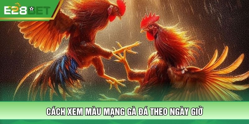 Cách xem màu mạng gà đá theo ngày giờ