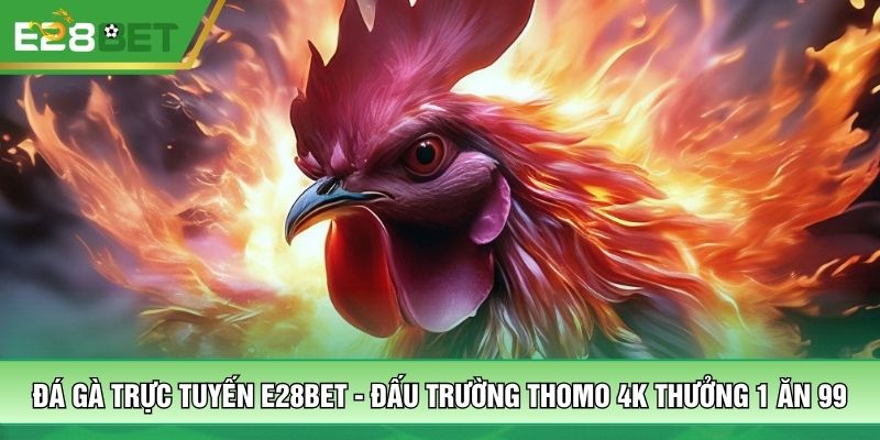 Đá gà trực tuyến E28BET - Đấu Trường Thomo 4K Thưởng 1 Ăn 99