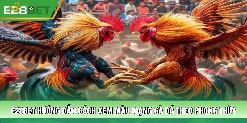 E28bet Hướng Dẫn Cách Xem Màu Mạng Gà Đá Theo Phong Thủy
